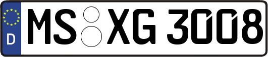 MS-XG3008