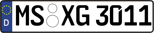 MS-XG3011