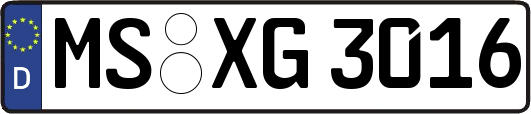 MS-XG3016