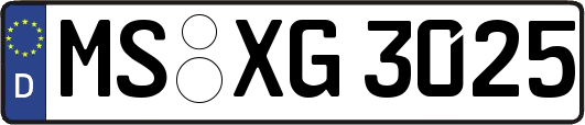 MS-XG3025