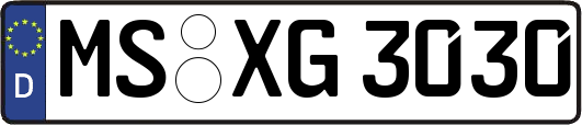 MS-XG3030