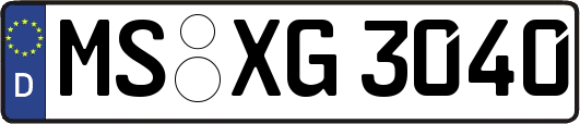 MS-XG3040