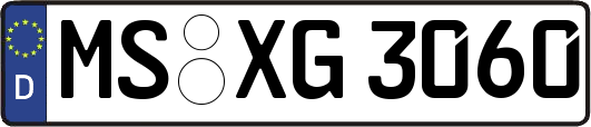 MS-XG3060