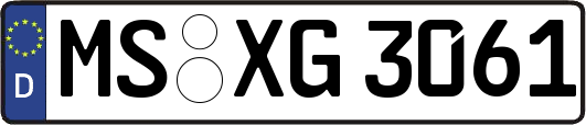 MS-XG3061