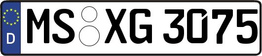 MS-XG3075