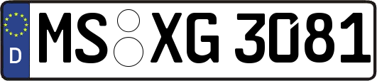 MS-XG3081