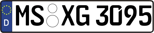 MS-XG3095