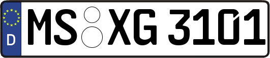 MS-XG3101