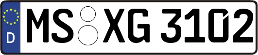 MS-XG3102