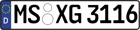 MS-XG3116