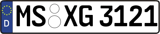 MS-XG3121