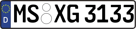 MS-XG3133