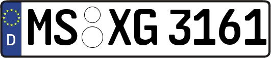 MS-XG3161