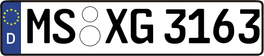MS-XG3163
