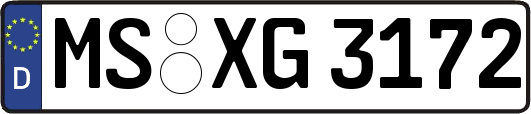 MS-XG3172