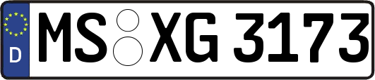 MS-XG3173