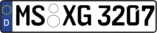 MS-XG3207