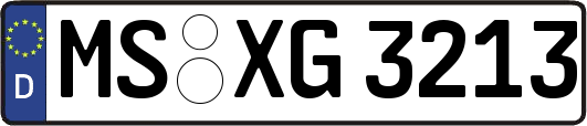 MS-XG3213