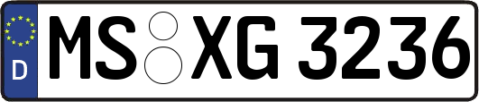 MS-XG3236