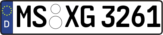 MS-XG3261