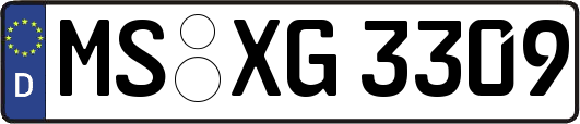 MS-XG3309