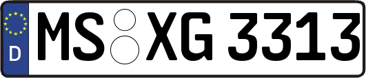 MS-XG3313