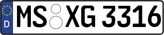 MS-XG3316