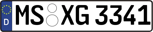 MS-XG3341