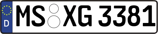 MS-XG3381