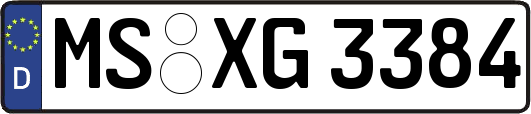MS-XG3384