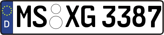 MS-XG3387