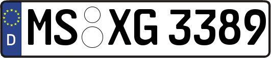 MS-XG3389