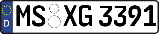 MS-XG3391