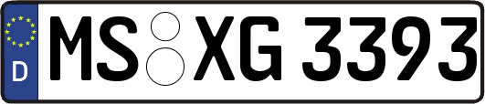 MS-XG3393