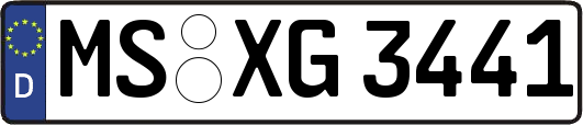 MS-XG3441