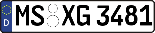 MS-XG3481