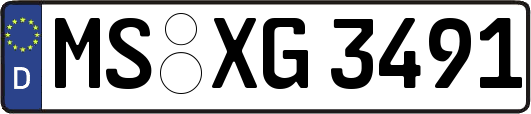 MS-XG3491