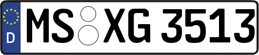 MS-XG3513
