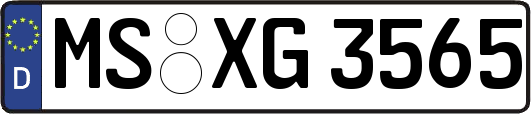 MS-XG3565