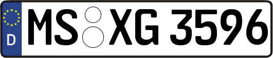 MS-XG3596