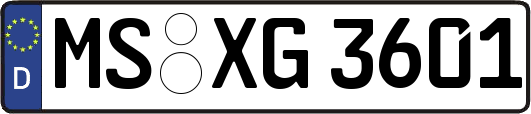 MS-XG3601