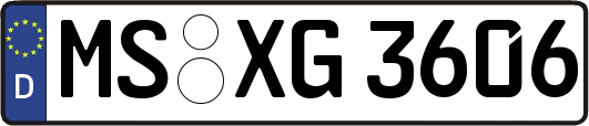 MS-XG3606
