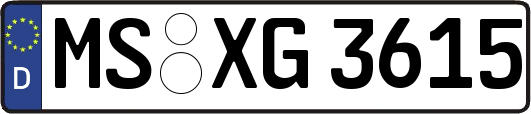 MS-XG3615