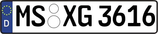 MS-XG3616