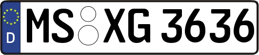 MS-XG3636