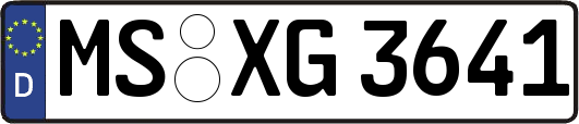 MS-XG3641