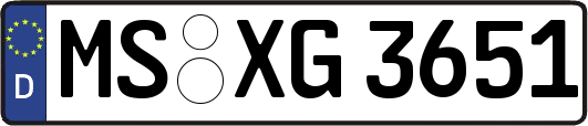MS-XG3651