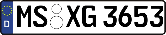 MS-XG3653