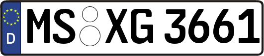 MS-XG3661