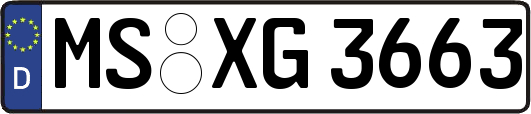 MS-XG3663